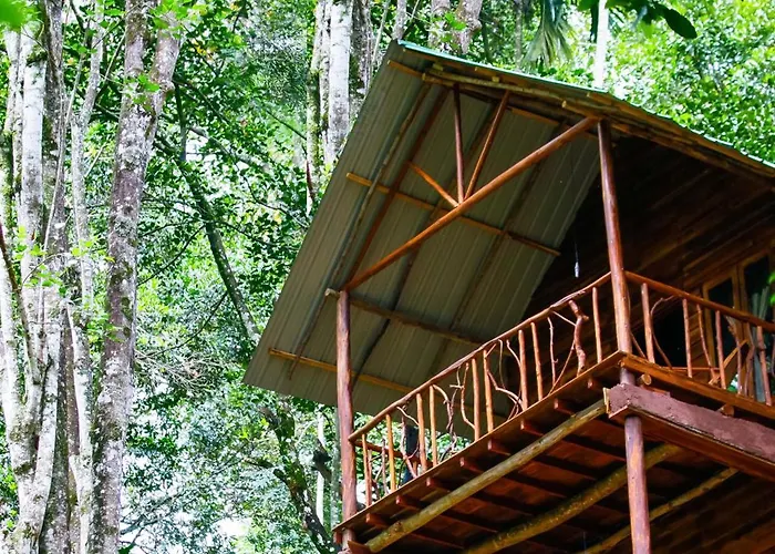 Ella Ecolodge