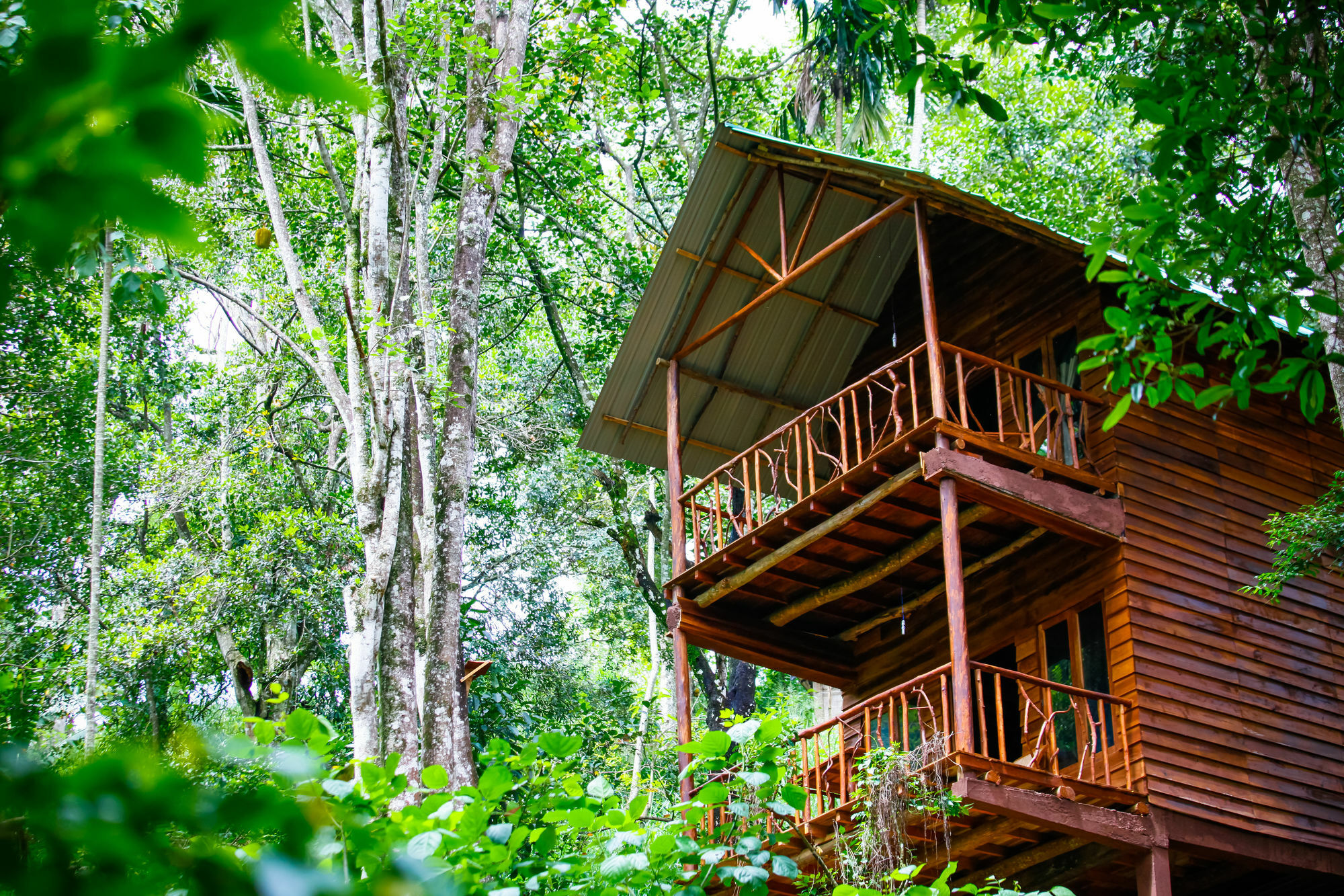 Ella Ecolodge Деревянный коттедж Элла