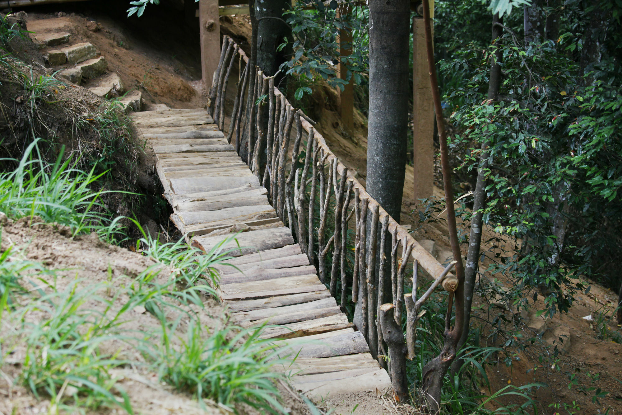 Ella Ecolodge * Элла