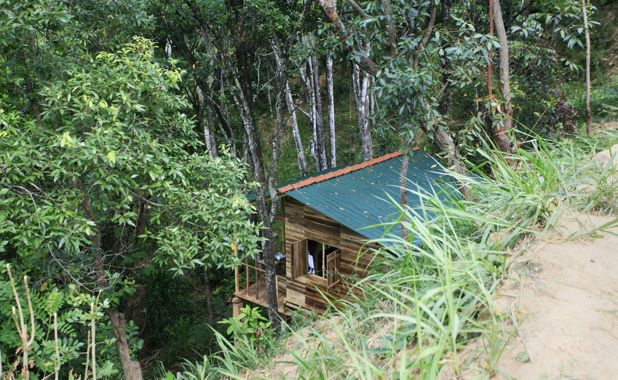 Ella Ecolodge Деревянный коттедж *