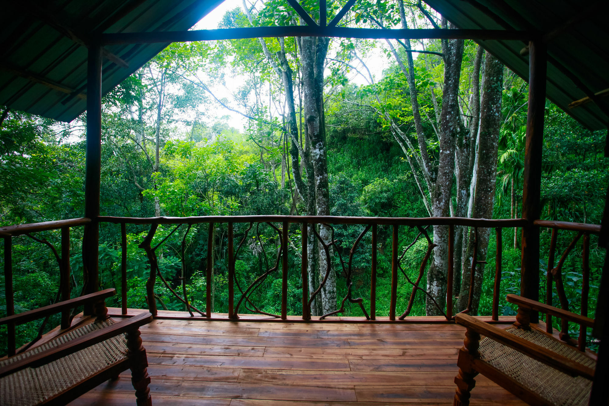 Ella Ecolodge Деревянный коттедж